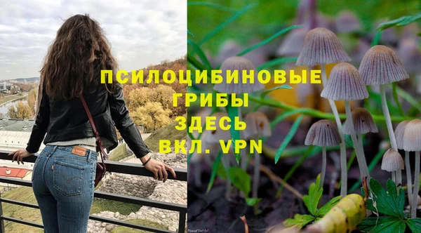 дурь Горно-Алтайск