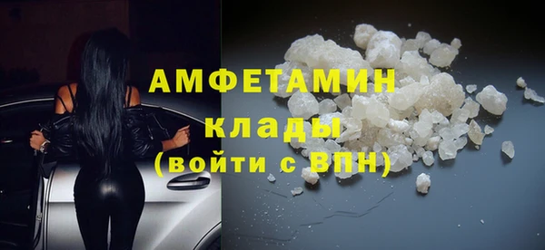 ешки Горняк