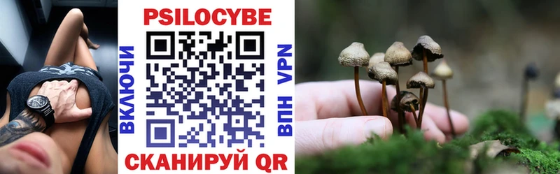 Галлюциногенные грибы Magic Shrooms мега маркетплейс Завитинск где найти
