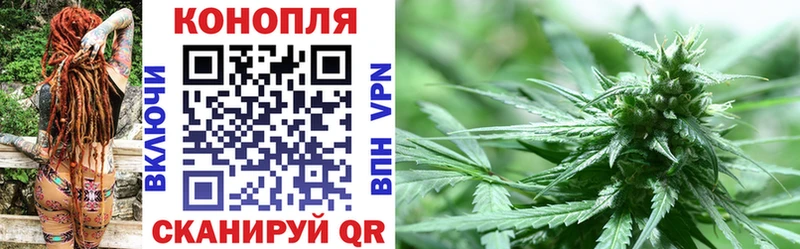 купить наркоту  Завитинск  Канабис сатива 